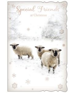 Special Friends C75 Pk6 Out Of The Blue