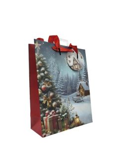 Winter Scene Medium Bags pk6