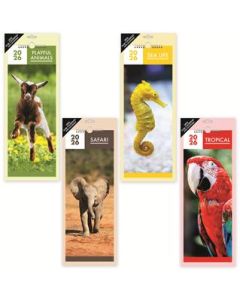 Slimline Calendar 2026 IG Design Group