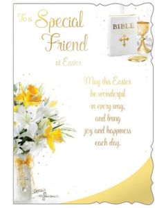 Special Friend C50 Pk6 Out of the Blue