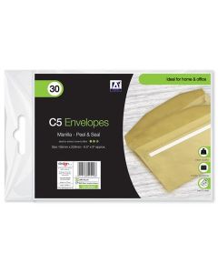 30 C5 Manilla Envelopes IG Desgin