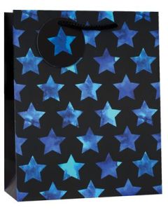 Large Gift Bags Pack of 6 Simon Elvin