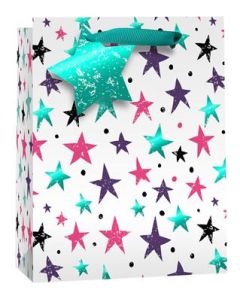 PK6 MEDIUM GIFT BAGS - GBM8306/6
