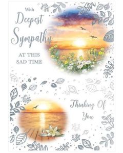 Sympathy C50 Pk6 Xpress Yourself