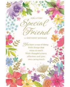 Special Friend C75 PK6 Simon Elvin