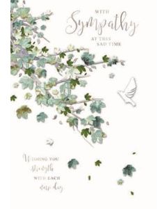 Sympathy C50 Pk6 Simon Elvin