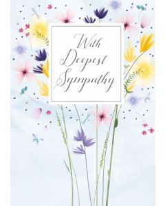 Sympathy C50 Pk6 Simon Elvin