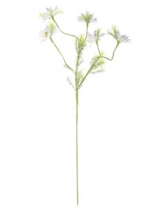 Love In A Mist Flower Lilac