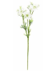 Love In A Mist Flower White