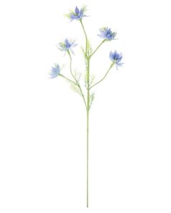 Love In A Mist Flower Blue