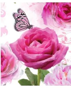 Gift Tags Pk12 Simon Elvin