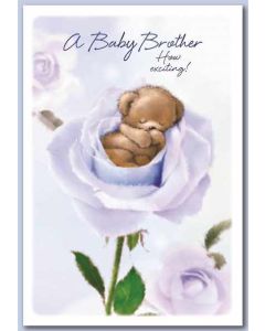 Baby Brother C50 Pk6 Simon Elvin