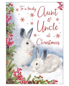 Aunt & Uncle C80 Pk6 Regal