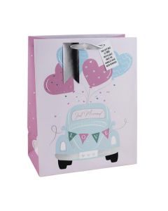 Large Gift Bags Pack of 6 Eurowrap