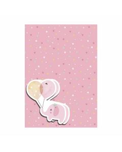 Folded 2 Sheet Wrap & Matching Tags Eurowrap