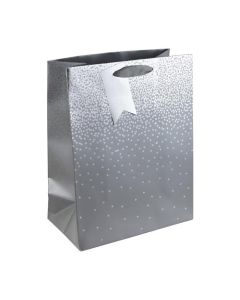 Silver Ombre Large Bag Pk6