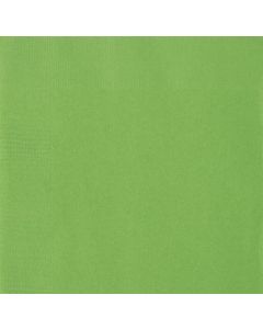 Lime Green Napkins 50pk Unique