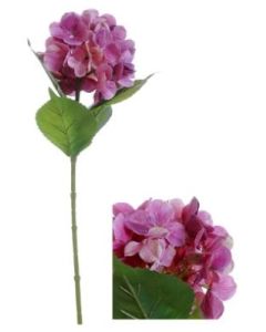 Flowerstem Hydrangea Pink