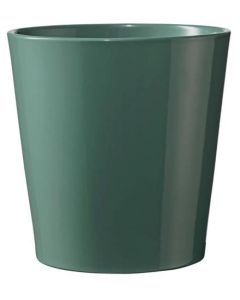 6cm Dallas Breeze Shiny Sea Green Pot