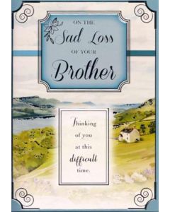 Sympathy Brother C50 Pk6 Simon Elvin