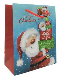 Santa Medium Bag Pk12