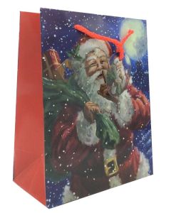 Small Santa Gift Bag Pk6 Tulip