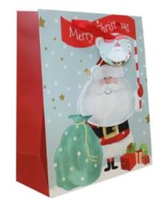 Santa 3D Medium Gift Bags Pk6 Tulip