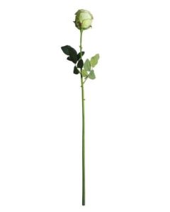 Medium Camelot Rose Bud Spring Green