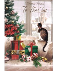 To The Cat C50 Pk12 Starlight