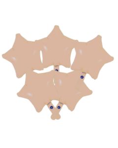 Oaktree 9" Matte Nude Star Packaged x 5pcs - 602687