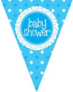 Blue Baby Shower 3.9m 11 Flag Bunting Oaktree