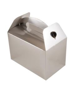 PARTY BOX 6 PK METALLIC SILVER  - 641938/1