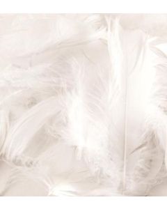 ELEGANZA FEATHERS MIXED SIZES 3"-5" 50G BAG WHITE NO.01 - 644403/1