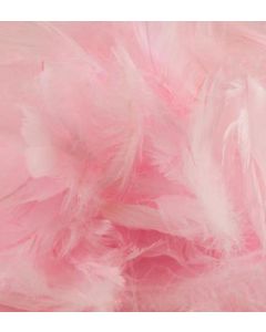ELEGANZA FEATHERS MIXED SIZES 3"-5" 50G BAG LT. PINK NO.21 - 644434/1