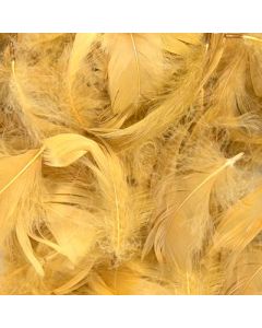 Gold Mixed Sized Feathers 50g Eleganza