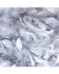 Silver Mixed Sized Feathers 50g Eleganza