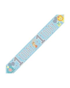 Single Banner Age 1 Blue Birthday 2.6m Fun House