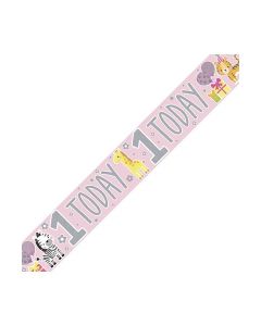 Single Banner Age 1 Pink Birthday 2.6m Fun House