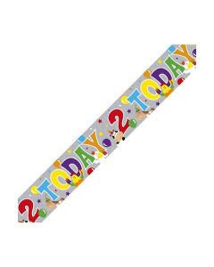 Single Banner Age 2 Multi Coloured Birthday 2.6m Fun House