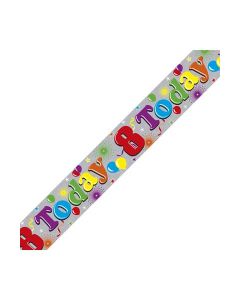 Single Banner Age 8 Multi Coloured 2.6m Fun House