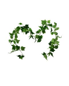 Ivy Garland Green