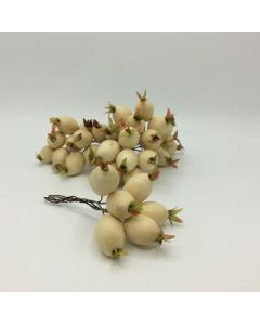 Rose Hips Christmas Picks