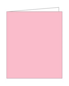 EVERYDAY PREMIUM GIFT TAGS - LIGHT PINK (PANTONE 495) - AQT004