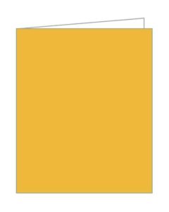 EVERYDAY PREMIUM GIFT TAGS - YELLOW (PANTONE 142) - AQT006