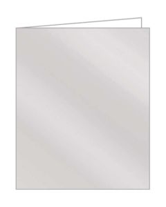 EVERYDAY PREMIUM GIFT TAGS - METALLIC SILVER (PANTONE 877) - AQT013