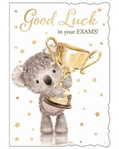 Good Luck Exams C50 Pk6 Out Of The Blue
