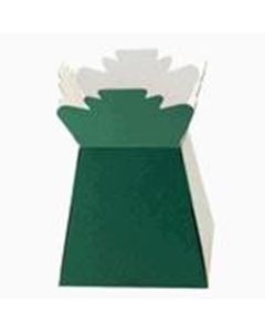 Living Vase Green Box of 30