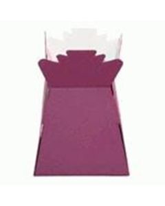 Living Vase Burgundy Box of 30