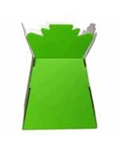 Living Vase Lime Green Box of 30