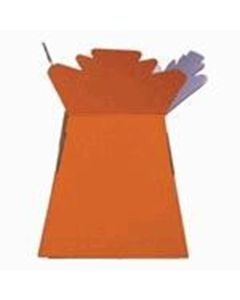 Living Vase Orange Box of 30